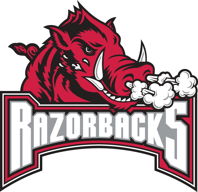 Arkansas Razorbacks 2001-2008 Secondary Logo v2 diy DTF decal sticker